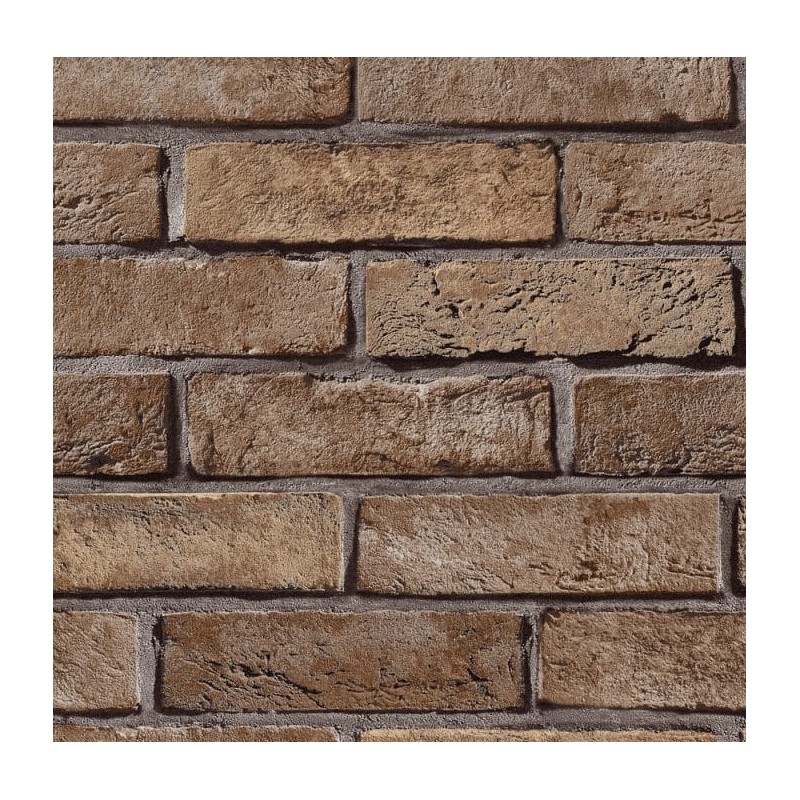 Papel Tapiz Bloom 506134
