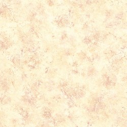 Papel Tapiz Creative Kitchens SP21161
